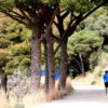 A RUNNING VIEW ABOVE THE CITY OF BARCELONA