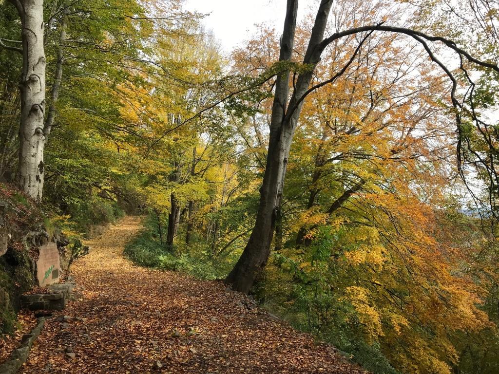 natural park and reserve near barcelona